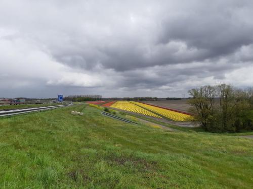 Le paysage est vide à perte de vue