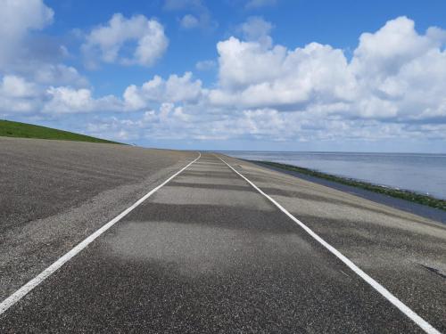 Le bord de mer.