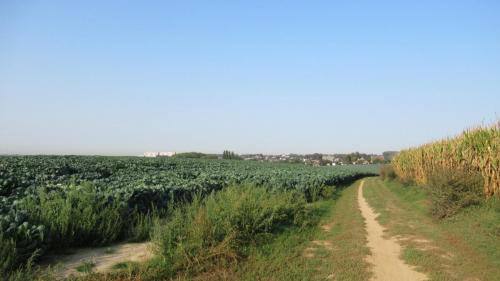 Des chemins très variés.