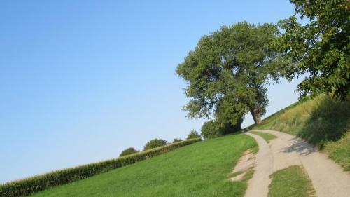 Des chemins très variés.