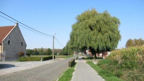 Des chemins très variés.