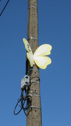 C'est fou ce qu'on voit au bord de la route !