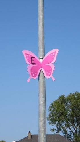 C'est fou ce qu'on voit au bord de la route !